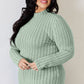 Basic Bae Full Size Ribbed Mock Neck Long Sleeve T-Shirt