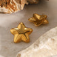 Stainless Steel Star Stud Earrings